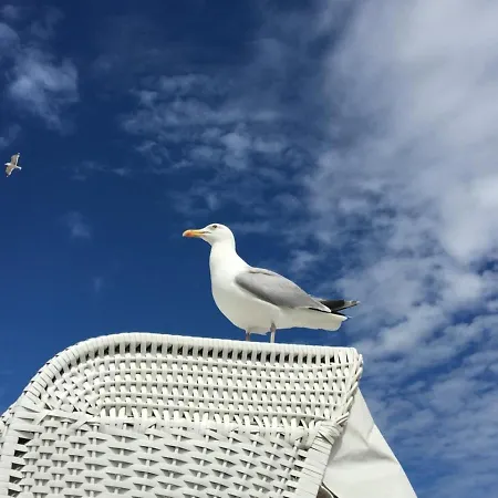 Ahoi - Wunderbare Ferien Am Hafen Apartmán