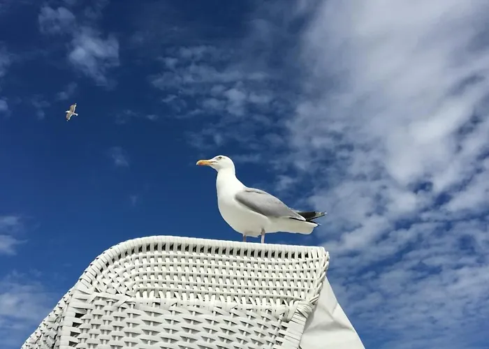 Ahoi - Wunderbare Ferien Am Hafen Apartament